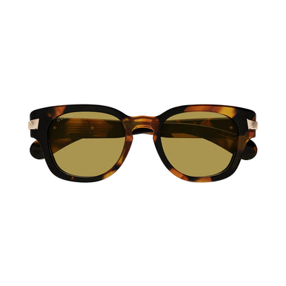 Gucci - GG1518S - 001 - Havana Havana Brown